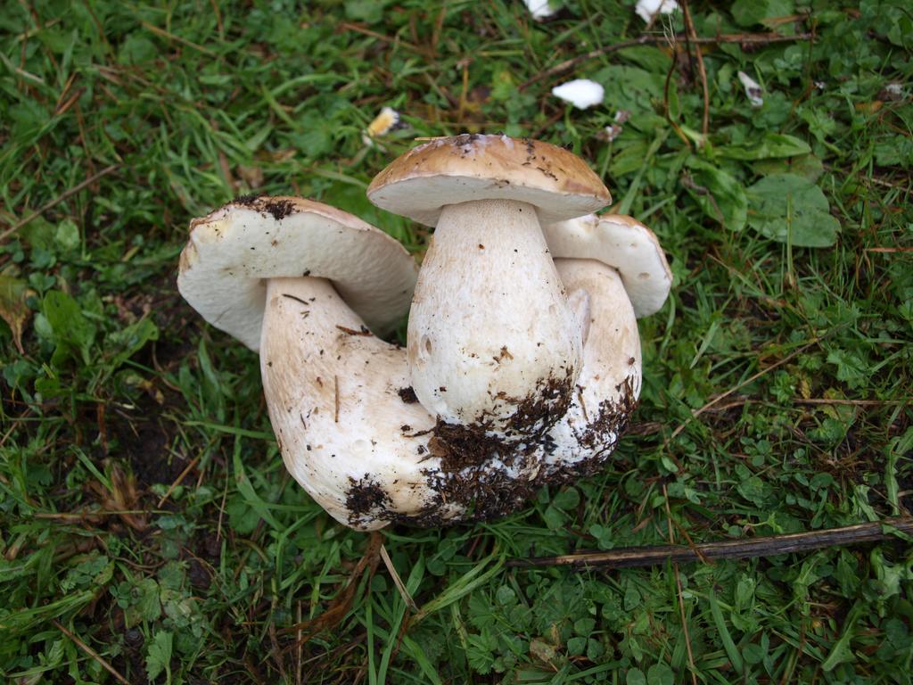 Penzion Koruna Nitrianske Rudno Esterno foto